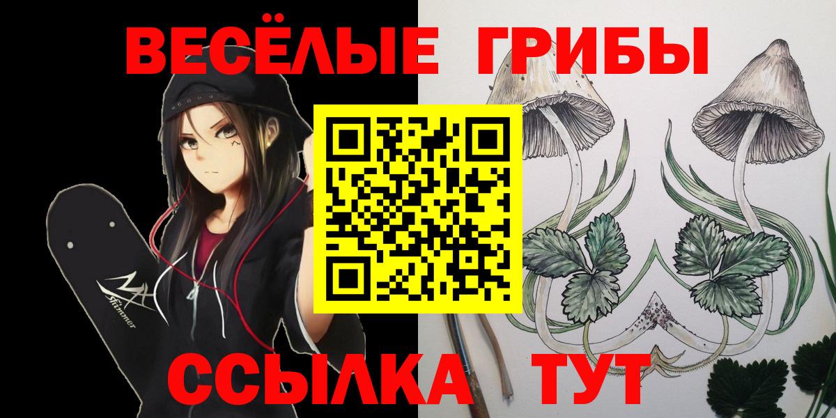 Псилоцибиновые грибы Psilocybe Богородск